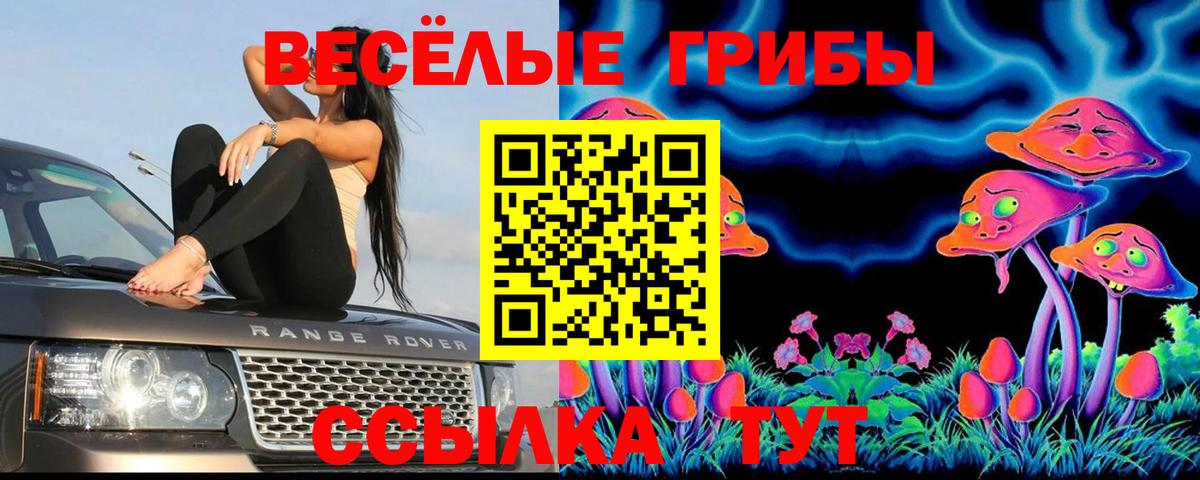 Ставрополь  Галлюциногенные грибы Cubensis  наркота  Вход с VPN 